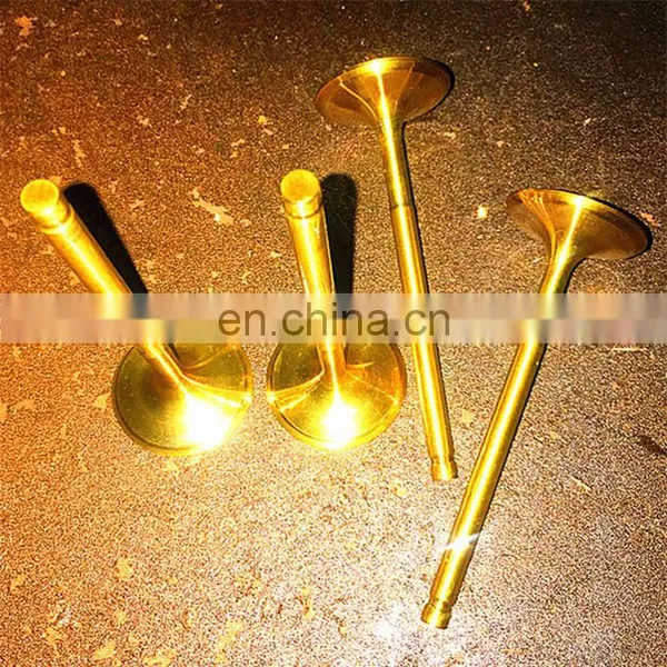 Auto Parts Factory Supply 4JJ1 4BD1 4JB14JA1 4HK1 4LE1 4LE2 4BG1 4JG2 for Isuzu 4 Cyls Supertech Race Discounted Engine Valves photo-4