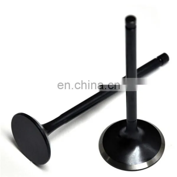 Japanese New Moto Spare Parts Intake Exhaust Engine Valves For Honda Wh100t-h-f-g SCR100 photo-2