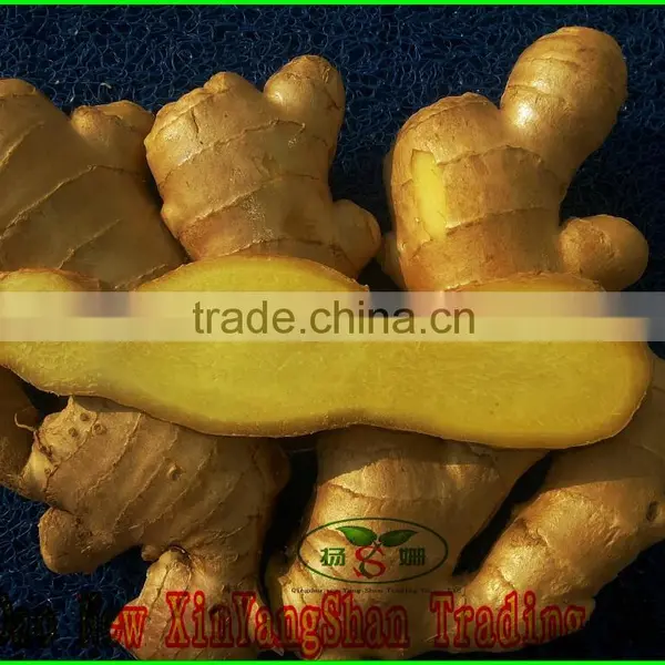 Lastest Dried Ginger Export Price Wholesale Ginger And Garlic photo-2