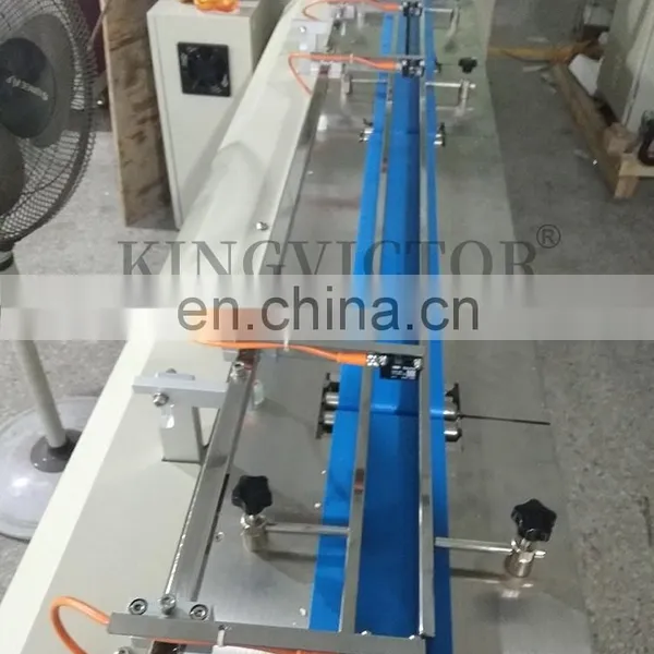 Mesin Snack Biscuit Packing Machine Banana Chips Packaging Line for Flow Machine photo-3