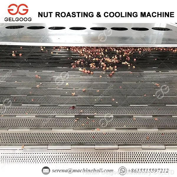 500-1000 Kg/h Continuous Filbert Nut Roasting Machine Hazelnut Roasting Machine photo-2