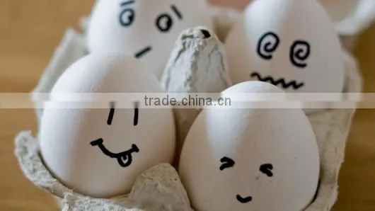 Super Fine CaCO3 Powder, Limestone 99% CaCO3 for Paint, Plastics, Rubber, Paper Making//s/ photo-5