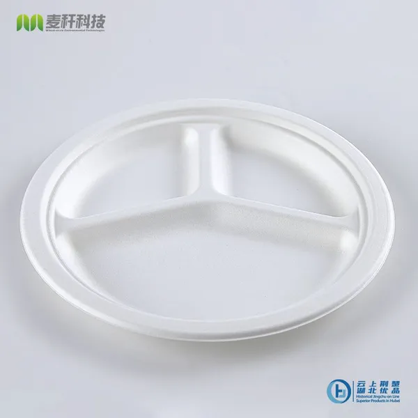 Disposable Biodegradable 10 INCH 3C PLATE Take Away Sugarcane photo-2
