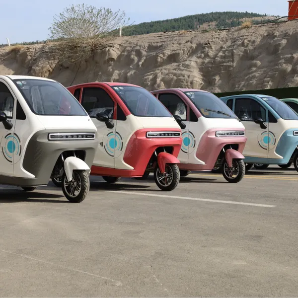 Low Price Guaranteed Quality Modern Design Electric Passenger Tricycle for European Market With EEC photo-2
