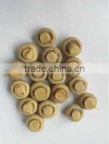 Brined Champignon Mushroom