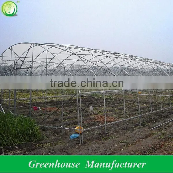 Galvanized Steel Pipe Economical Tunnel Greenhouse photo-4
