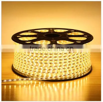 Cheap Flexible Led Strip Light Smd 5050 photo-2