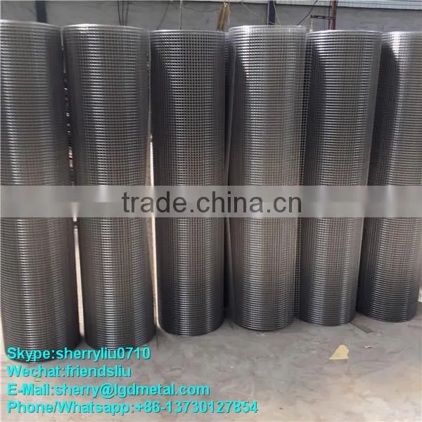 2015 Galvanized Welded Wire Mesh (Factory&Exporter)---WMSL040
