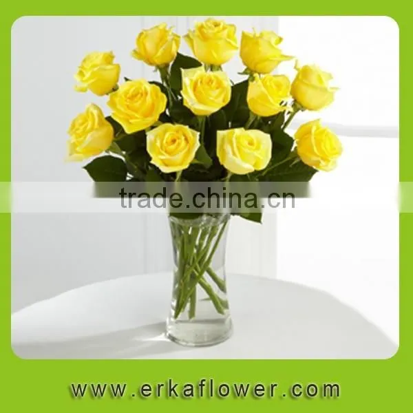 Newest White Fresh Cut Rose Flower photo-3