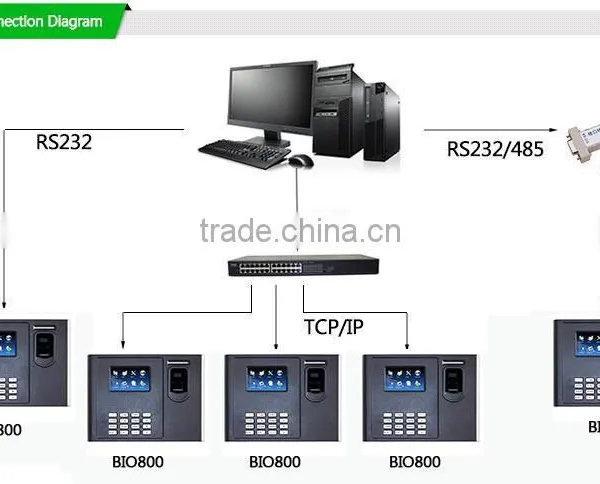 China Manufacture Technology Biometrics Time Attendance (HF-Bio800) photo-6