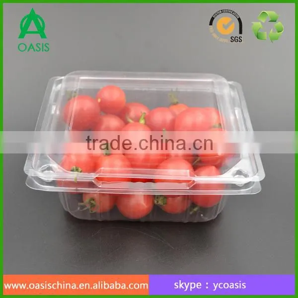 Food Grade 250g Plastic Strawberry Punnet photo-5
