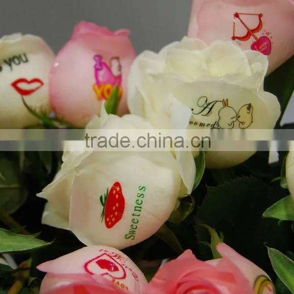 Mini Cheap Beautiful Flower Printer Digital Flower Printer Diy Flower Printer photo-4