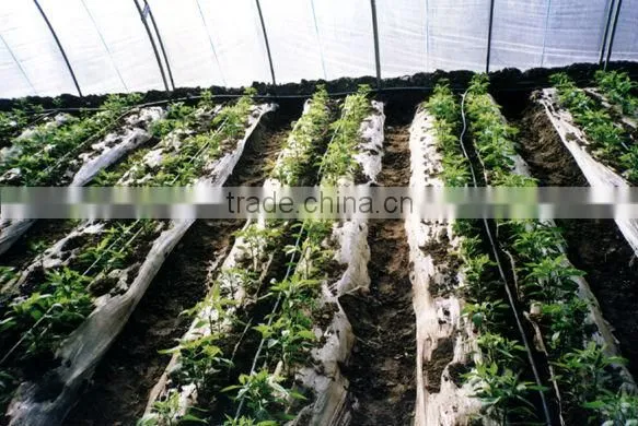 Greenhouse Equipment Irrigation System