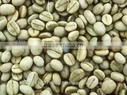 Raw Arabica and Robusta Coffee Beans Exporters India/robusta Cherry,arabica Plantation Suppliers photo-6