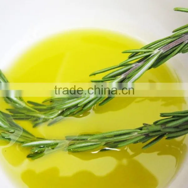 Pure Rosemary Oil From India | Natural Rosemary Oil For Export Only photo-2