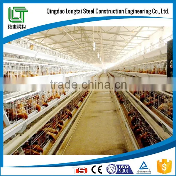 Cheap Broiler Poultry Farm House photo-3
