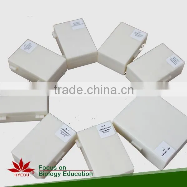 Microscope Prepared Slides ,Stem Slides, Stem of Abnormal Condition Prepared Slides photo-4