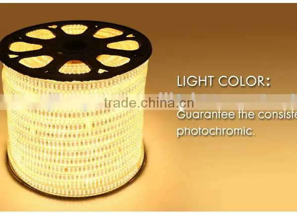 5050 LED Strip Light IP65 220V Easy Install Flexible Strip Light photo-2