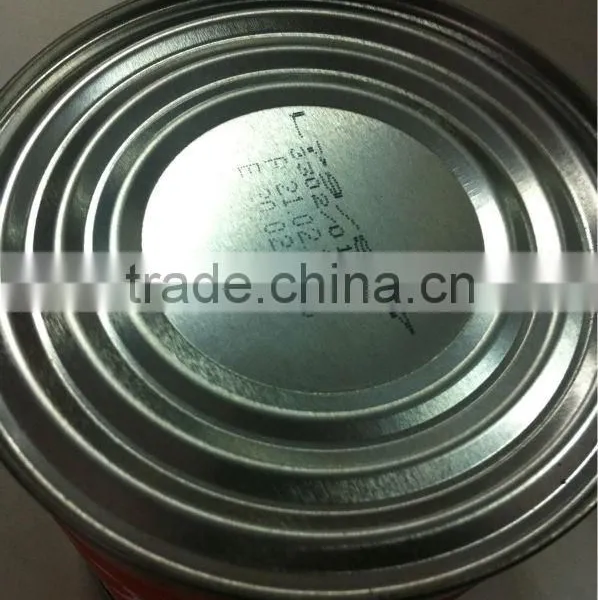 400G China Factory Hot Sell Nature Canned Tomato Paste photo-4