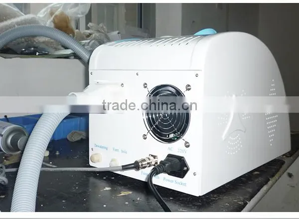 Nd: Yag Laser Stretch Mark Tattoo Reomval For White Hair Facial Skin Care Beauty Equipment photo-5