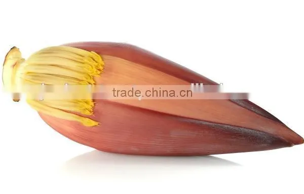 Banana Flower Exporters photo-2