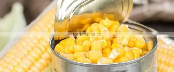 Canned Sweet Corn photo-4