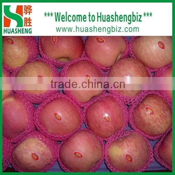 Latest Red Apple Price/sweet Red Fresh Apple for Sale photo-2