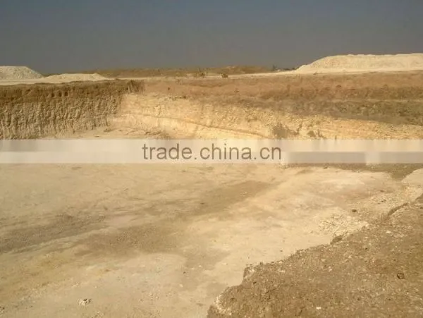 Diatomaceous Earth Powder photo-2