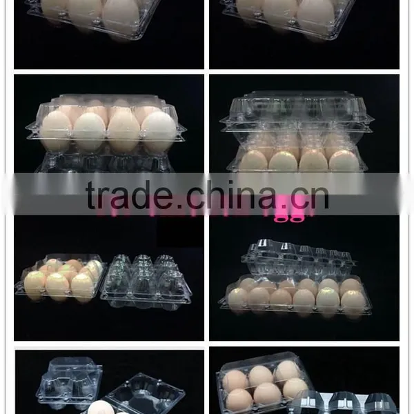 2016 Hot-sales and Lowest Price Quail Egg Packaging Tray for Quail Eggs photo-2