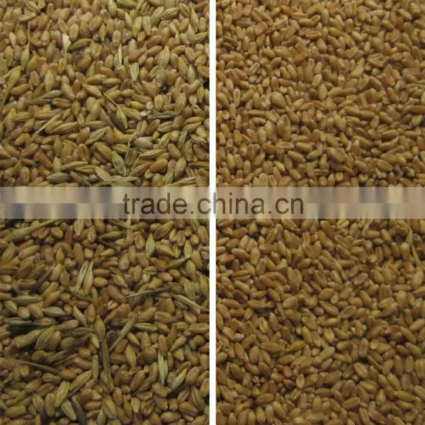 Factory Wheat Color Sorter/barley Wheat Color Sorting Machine/color Separator photo-6