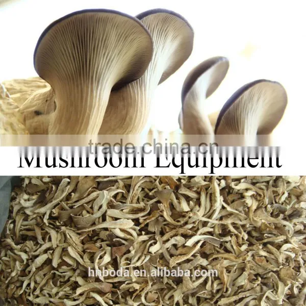 Mushroom Belt Drying Machine photo-4