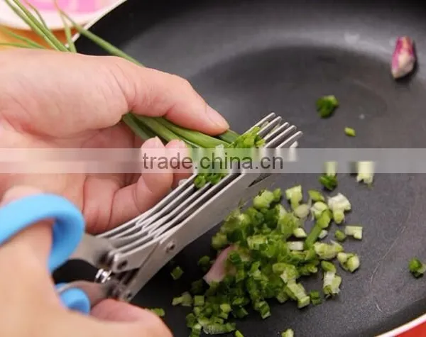 FDA Ceritfication Stainless Steel Chopped Green Onion 5 Blade Scissors photo-3