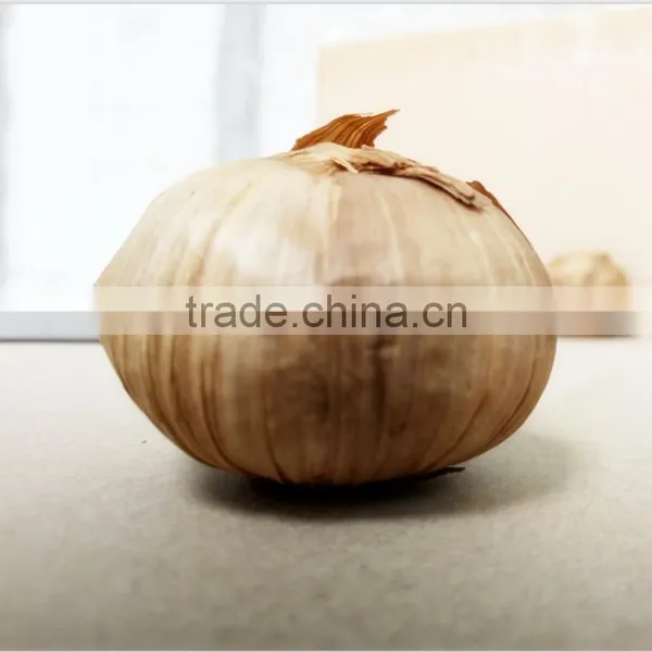 2016 Hot Selling Solo Black Garlic photo-5