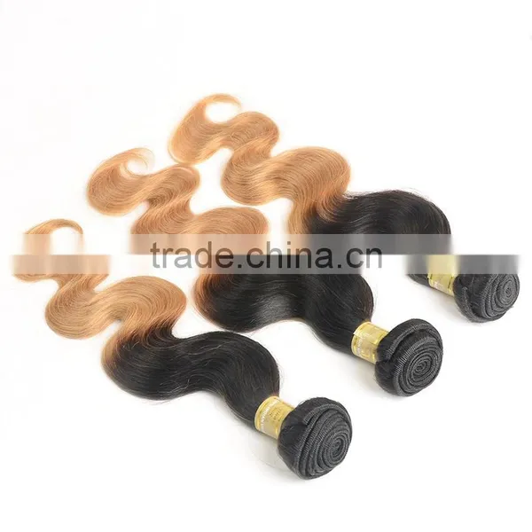 Wholesale Price 1b/27 Color Ombre Hair Weaves , Indian Hair photo-2
