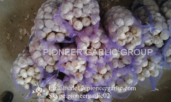 New Crop Fresh Chinese Normal White Garlic (5.0cm, 5.5cm, 6.0cm) photo-3