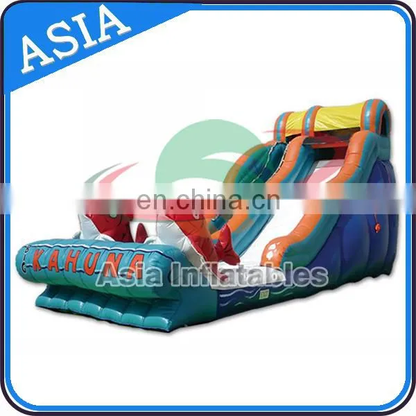 Sunshine Dolphins Playground Inflatable Water Slide photo-2