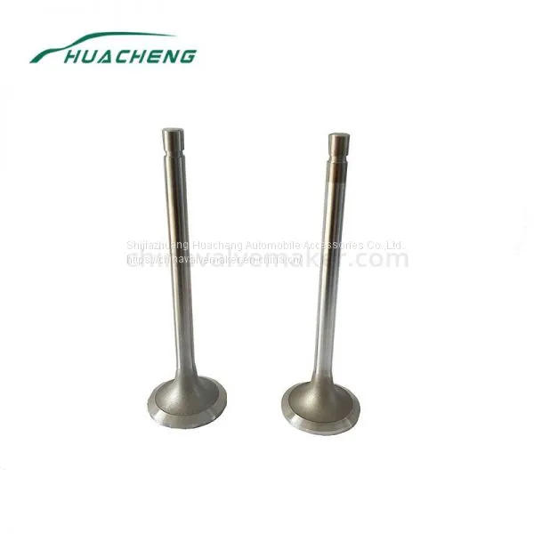 Marine Power Parts Engine Valve for Cummins K19