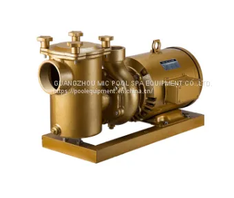 High Speed Swimming Pool Brass Water Pump,swimming Pool Equipment photo-2