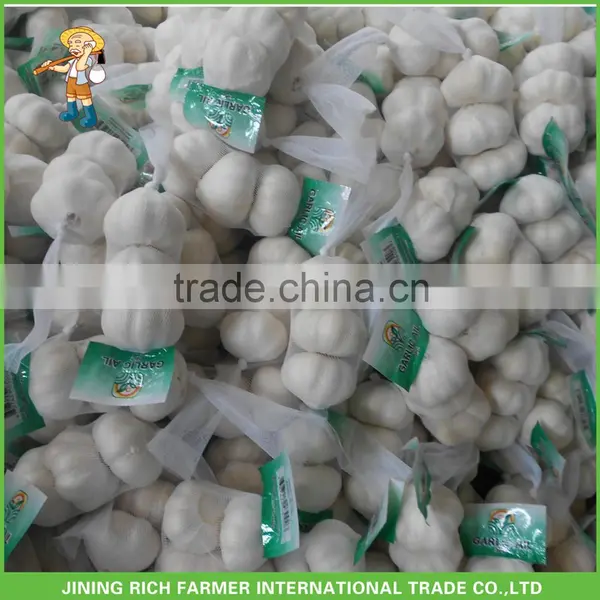 Newly Cold Storage Fresh Garlic