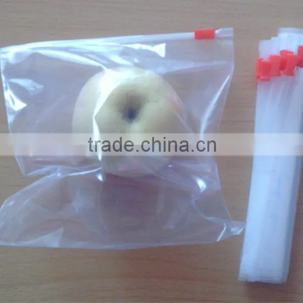 Eco Plastic Slider Bag For Snack, High Quality Plastic Slider Bag photo-4