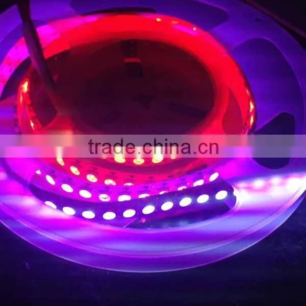 Digital Led Motion Sensor Led Strip RGB 5050 photo-3