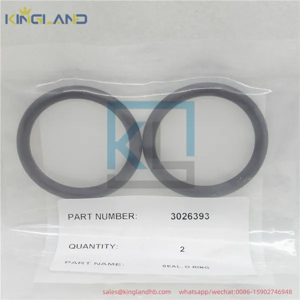 High Quality Engine Parts Seal O-Ring 212161 3001340 3026393 Suitable for CUMMINS photo-3