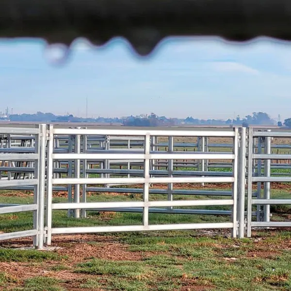 Cheap Pen Horse Corral Panels Livestock Cattle Panels for Farm photo-3