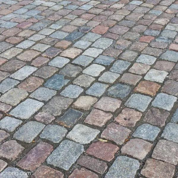 Paving Stone