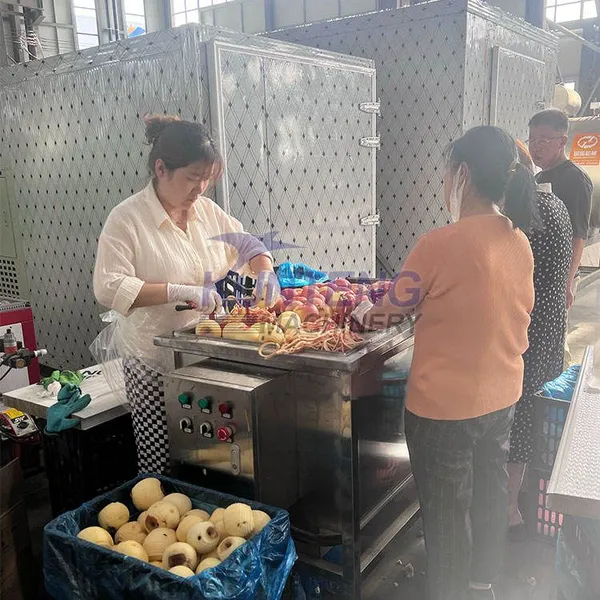 Heat Pump Grapes Dryer Food Dehidrator Machine Groundnuts Pistachio Nuts Drying Machine EPC photo-3