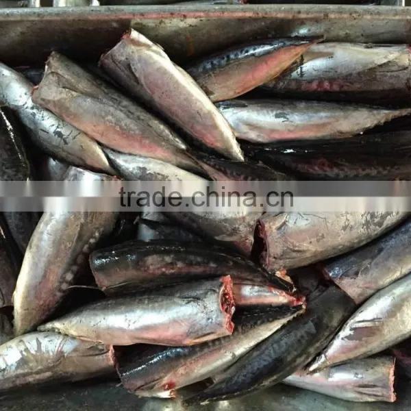 2015 Frozen Bonito HGT 150-300g/pc New Processing photo-5