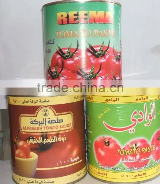1000G Tomato Paste to Tamato Sauce