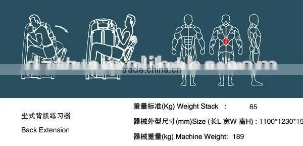 Top Quality Factory Direct Supply Price/ Gym Fitness Machine/ Back Extension TZ-6006 photo-4