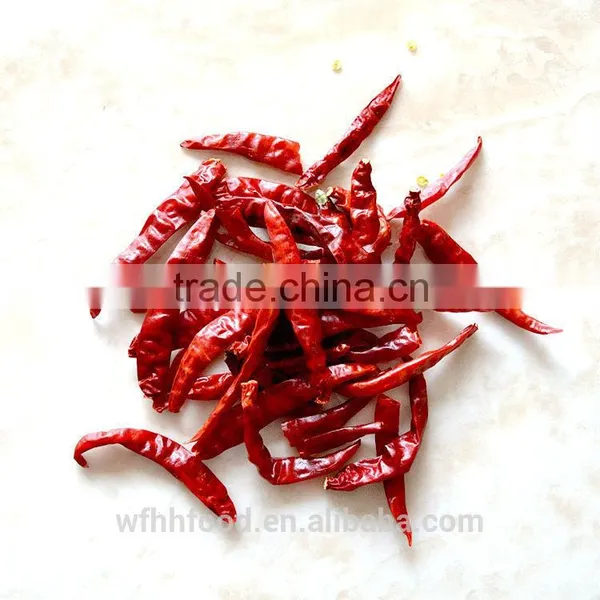 Dry Red Chilli photo-6