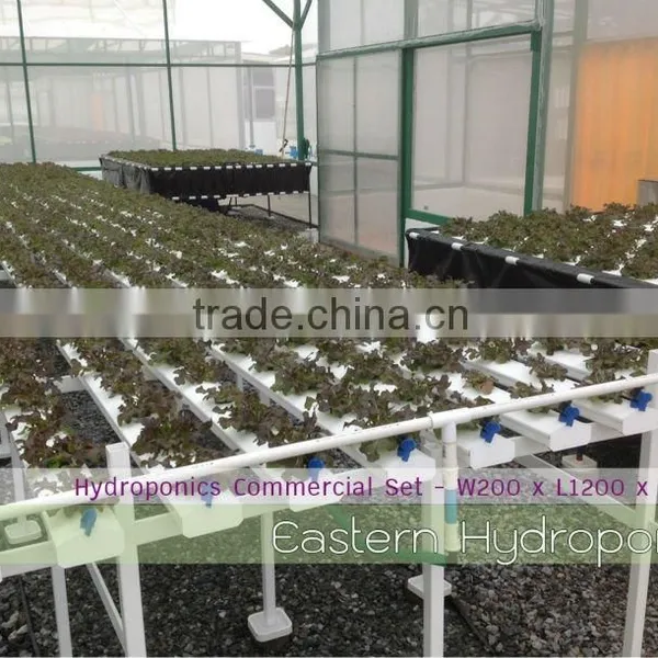 NEW Industrial Hydroponics
